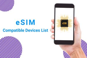 Belarus eSIM compatible device list